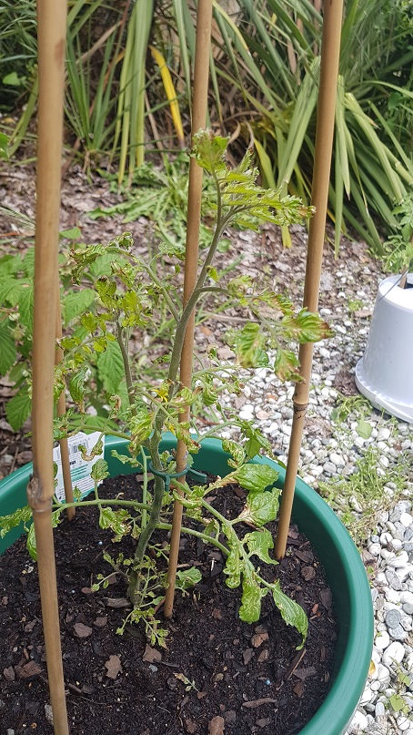 20181121_124517.jpg