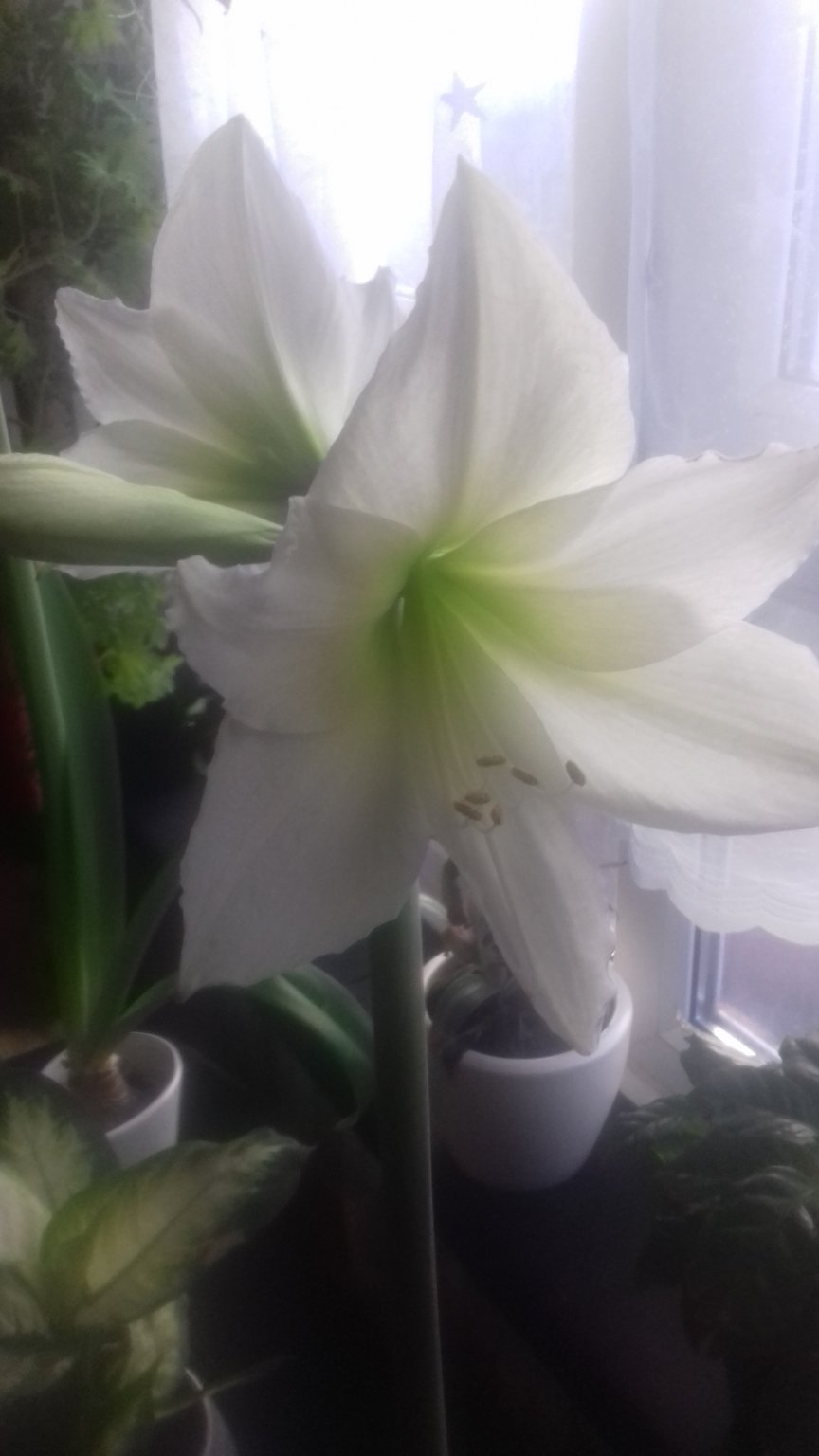 20190106_101038.jpg