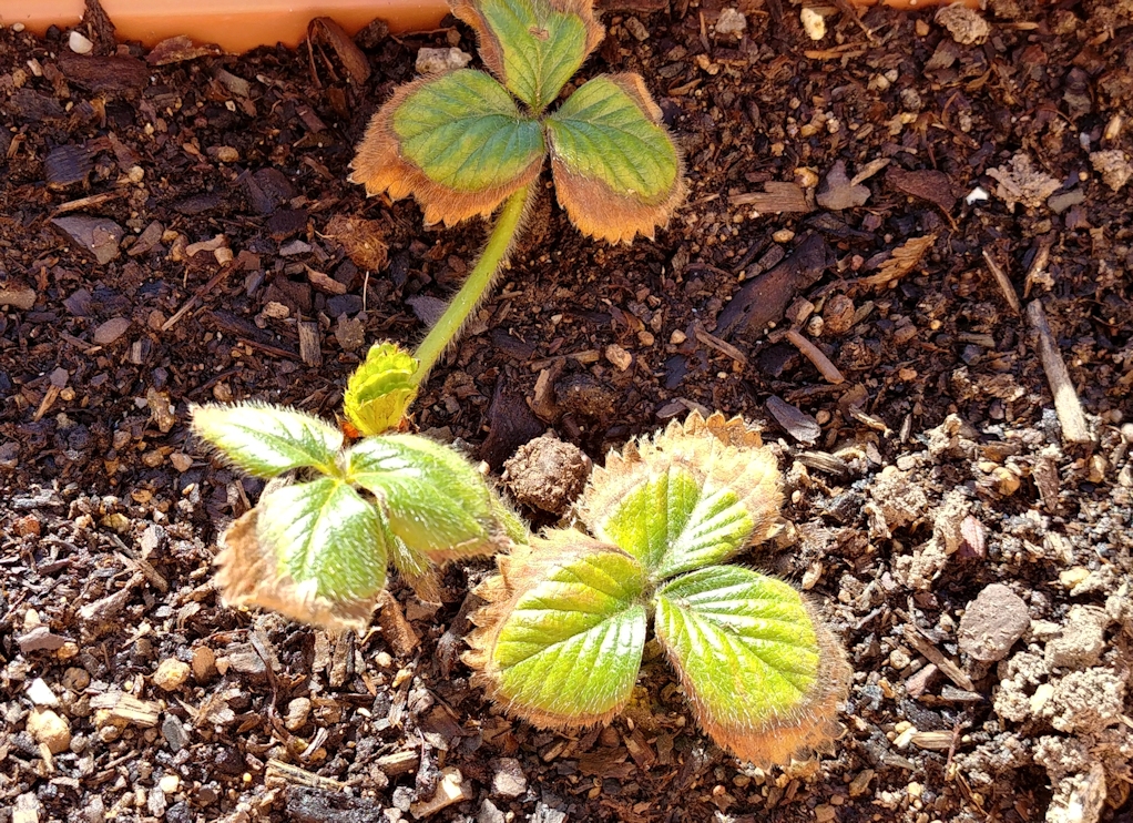 20190202_145650_HDR2.jpg