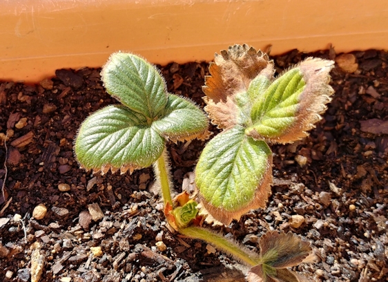 20190202_145705_HDR2.jpg
