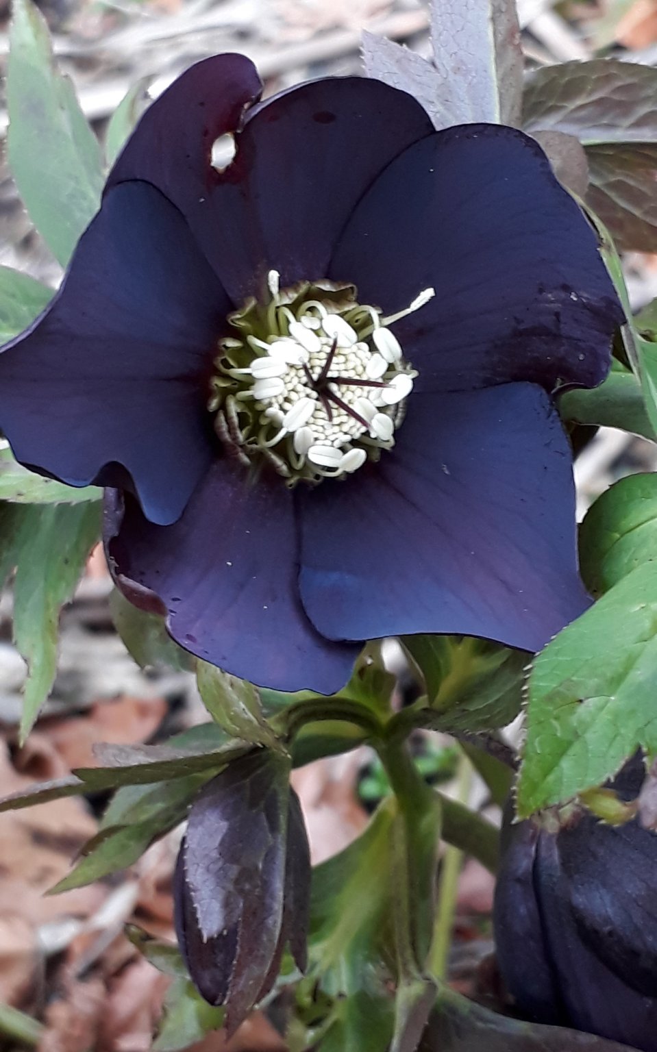 20190303_161133.jpg