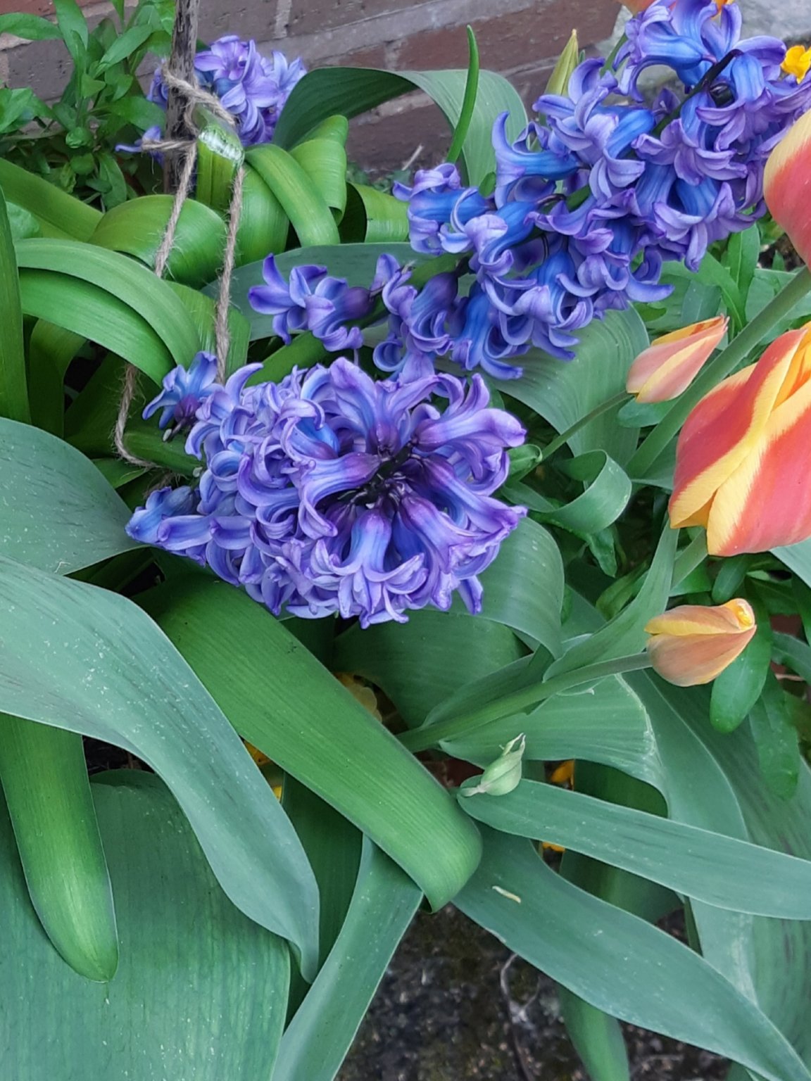 20190412_173506.jpg