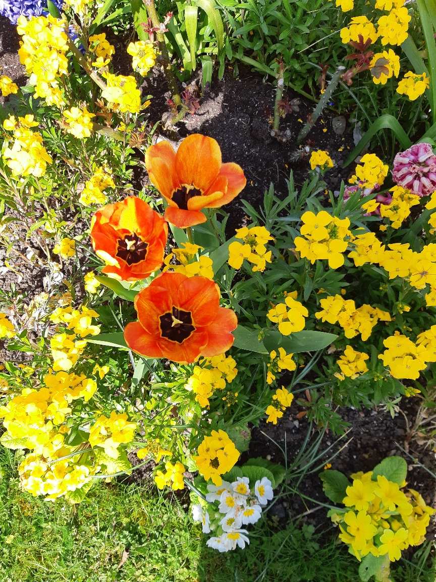 20190419_143309_1.jpg