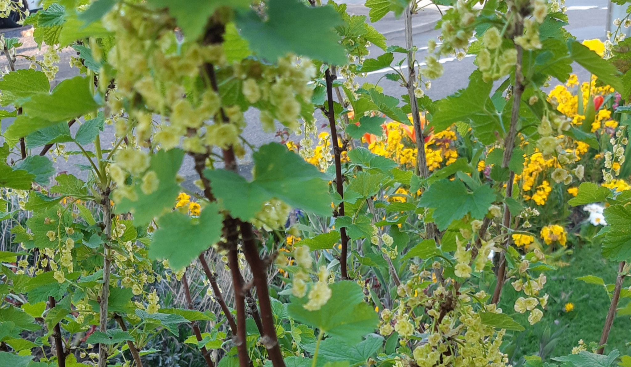 20190422_165437.jpg