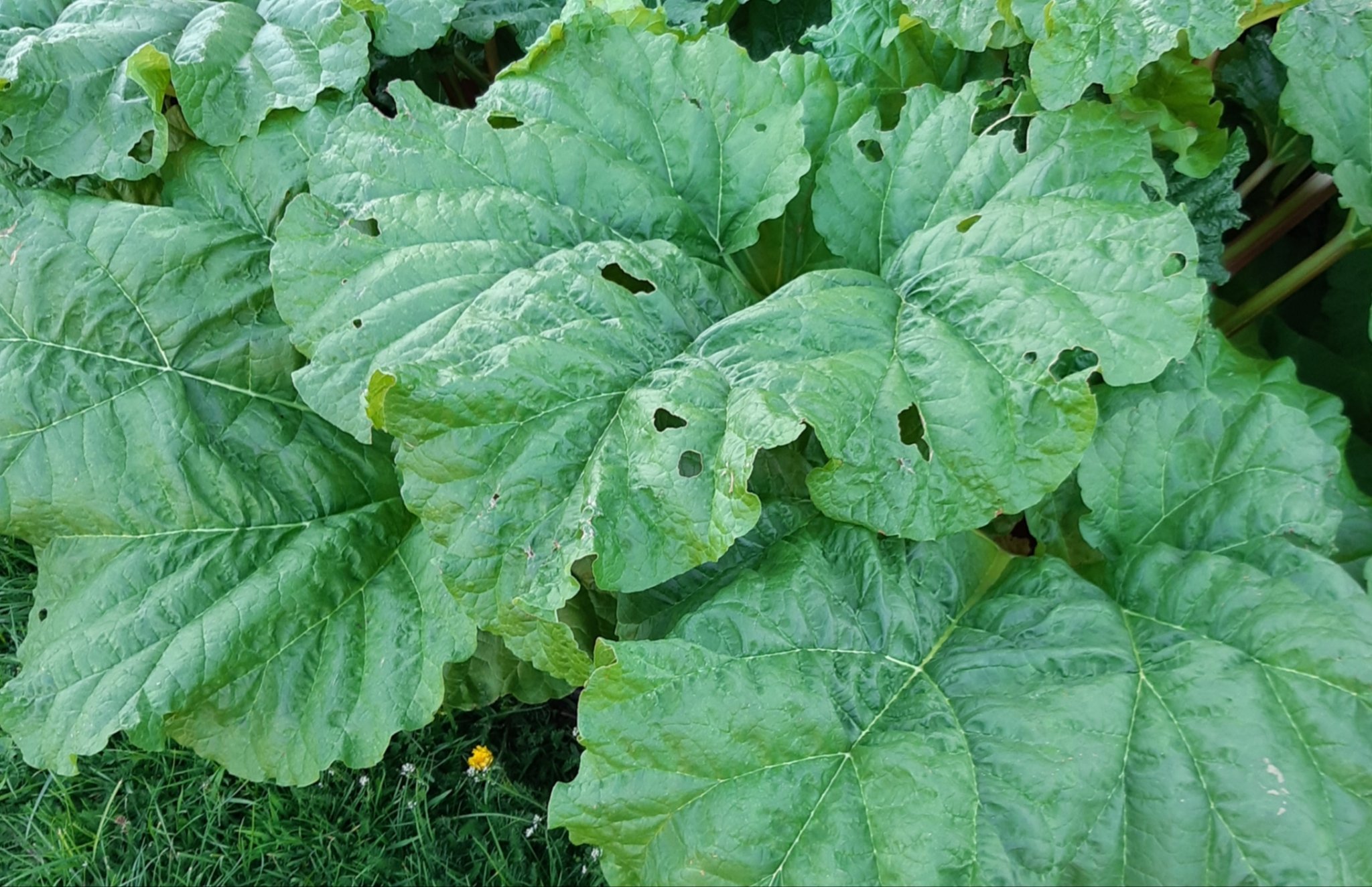 20190422_165455.jpg
