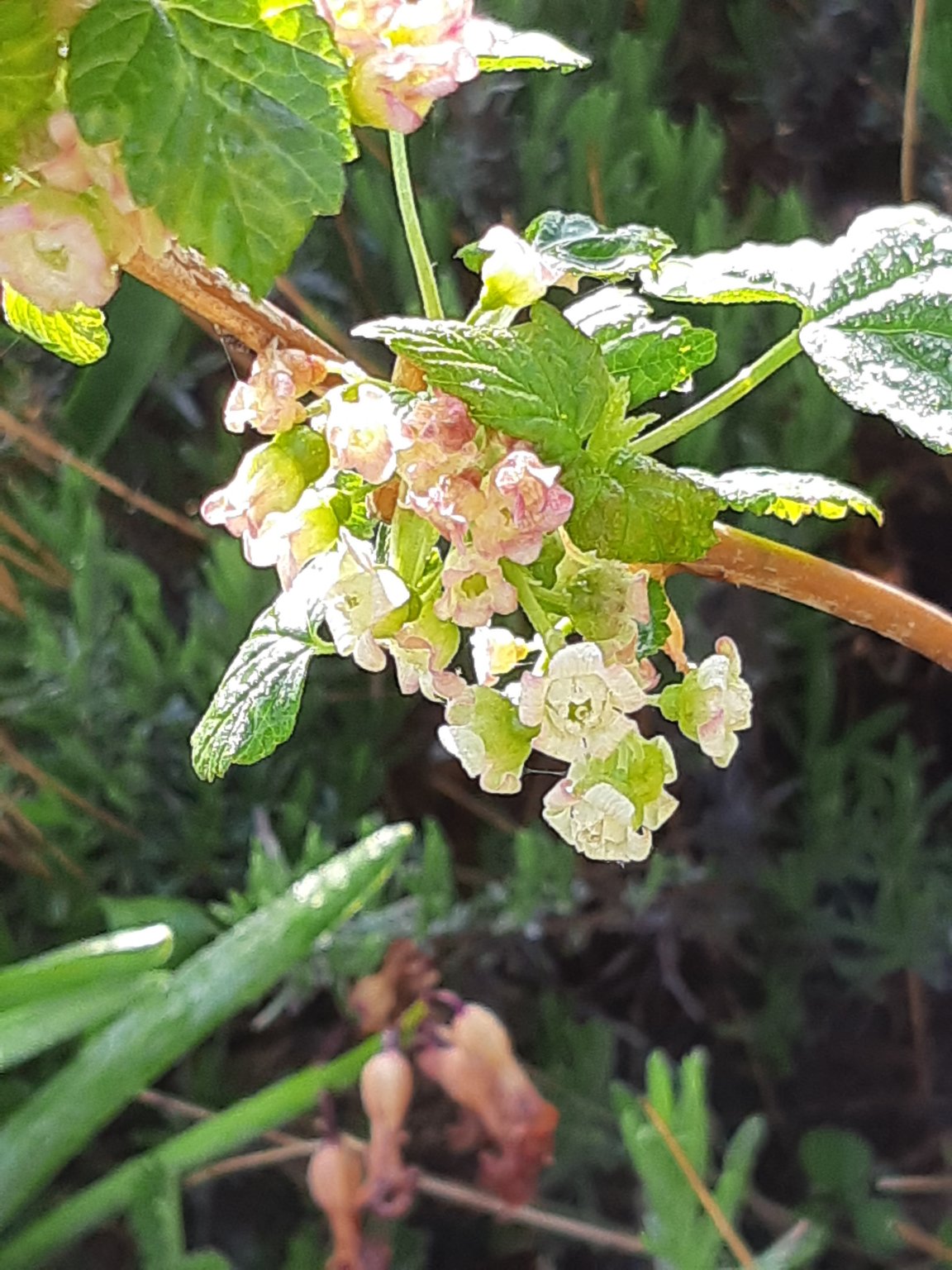 20190426_080317.jpg