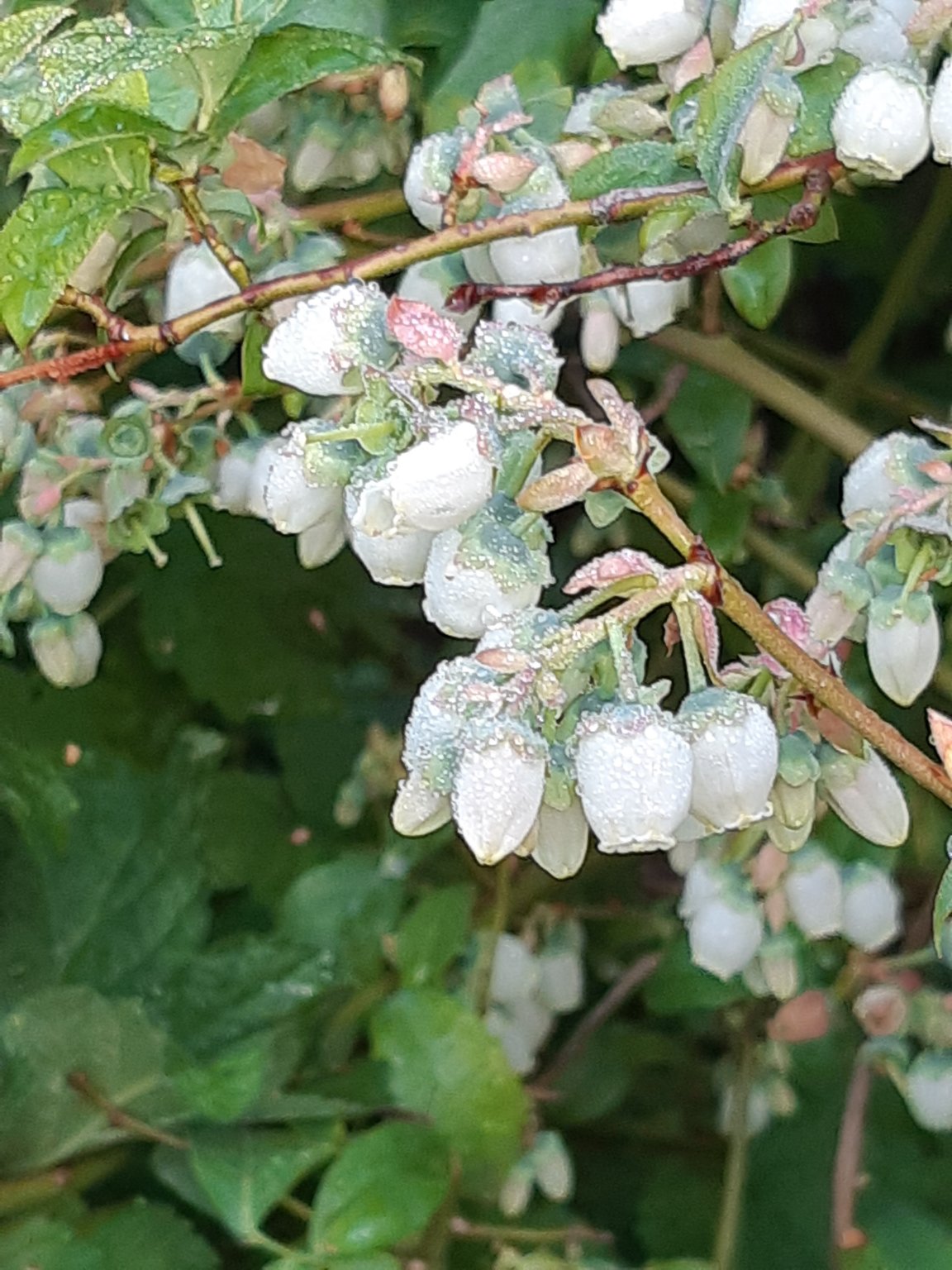 20190426_080423.jpg