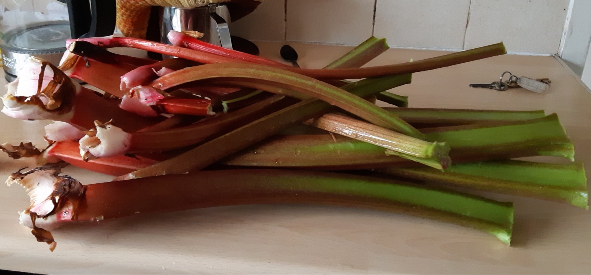 20190502_072748.jpg
