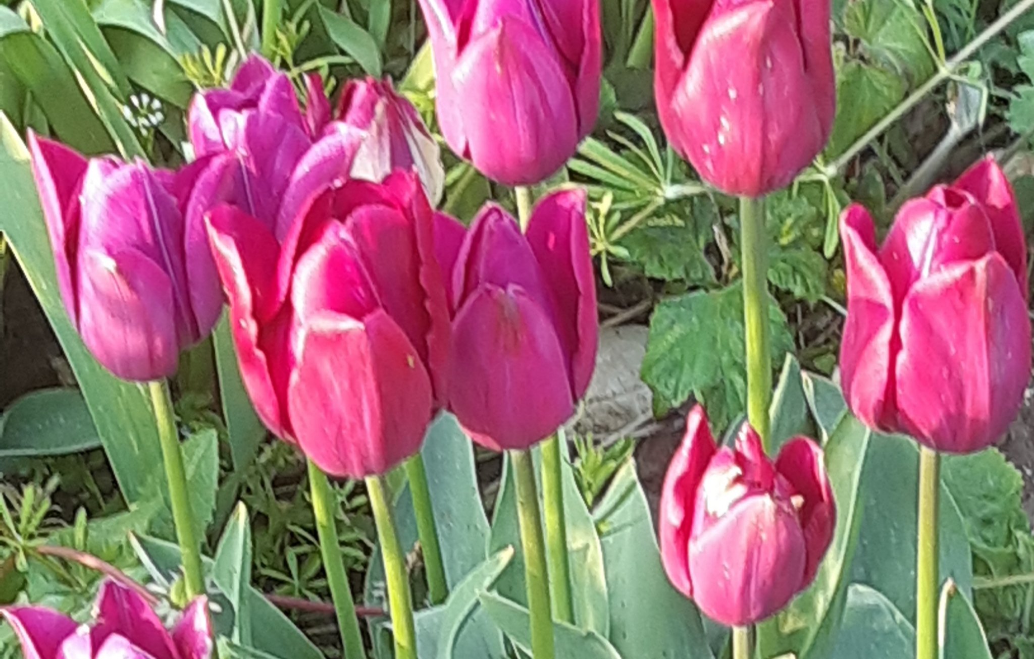 20190502_190135.jpg