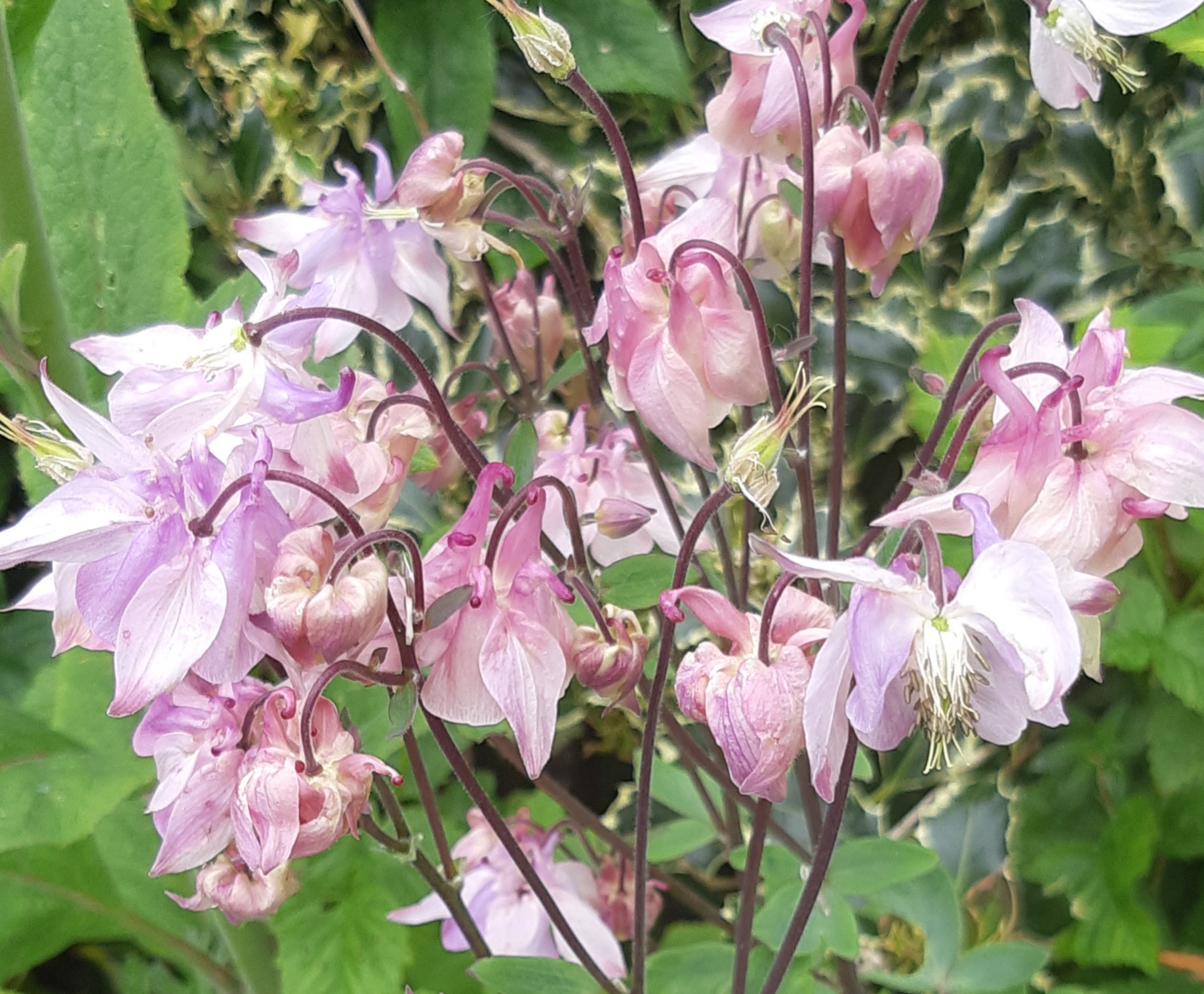 20190520_093131.jpg