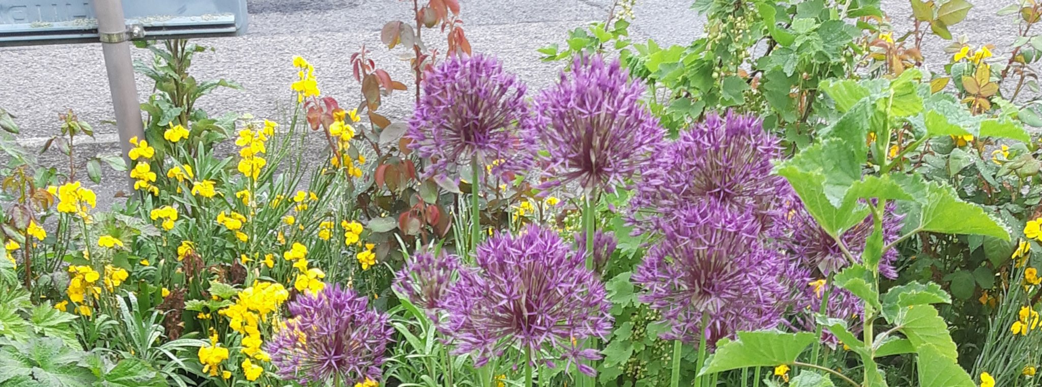 20190520_093242.jpg