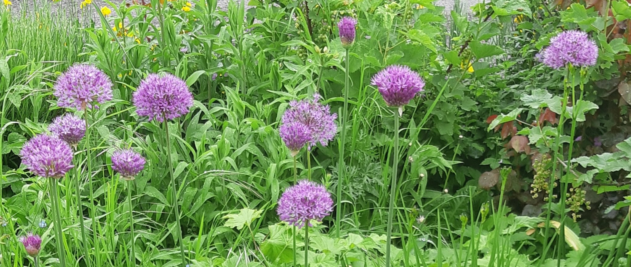 20190520_093311.jpg