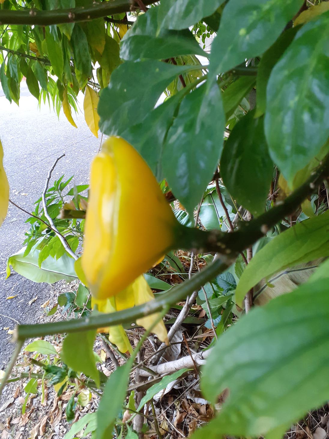 20190812_075114.jpg