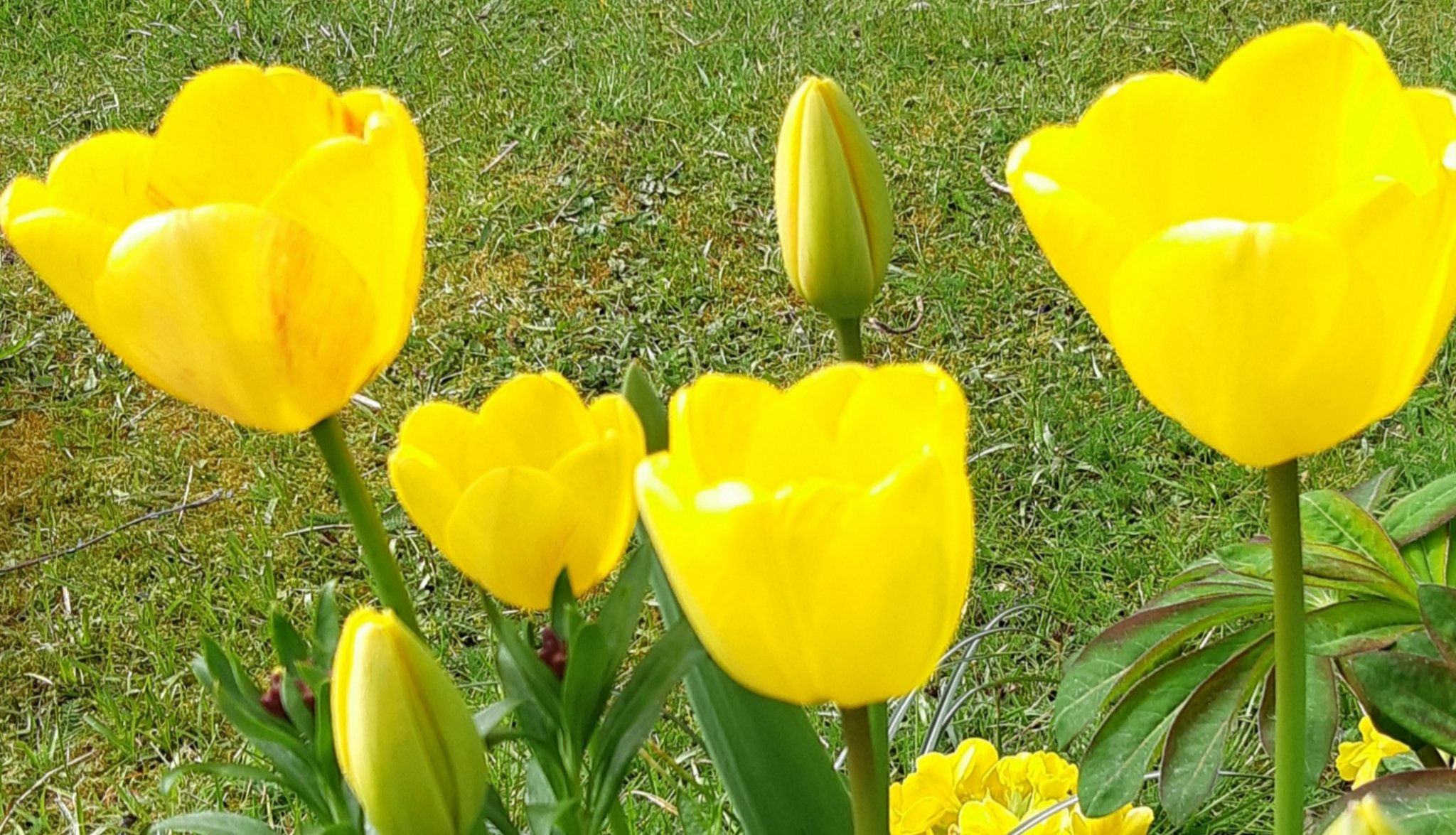 20210413_192143.jpg