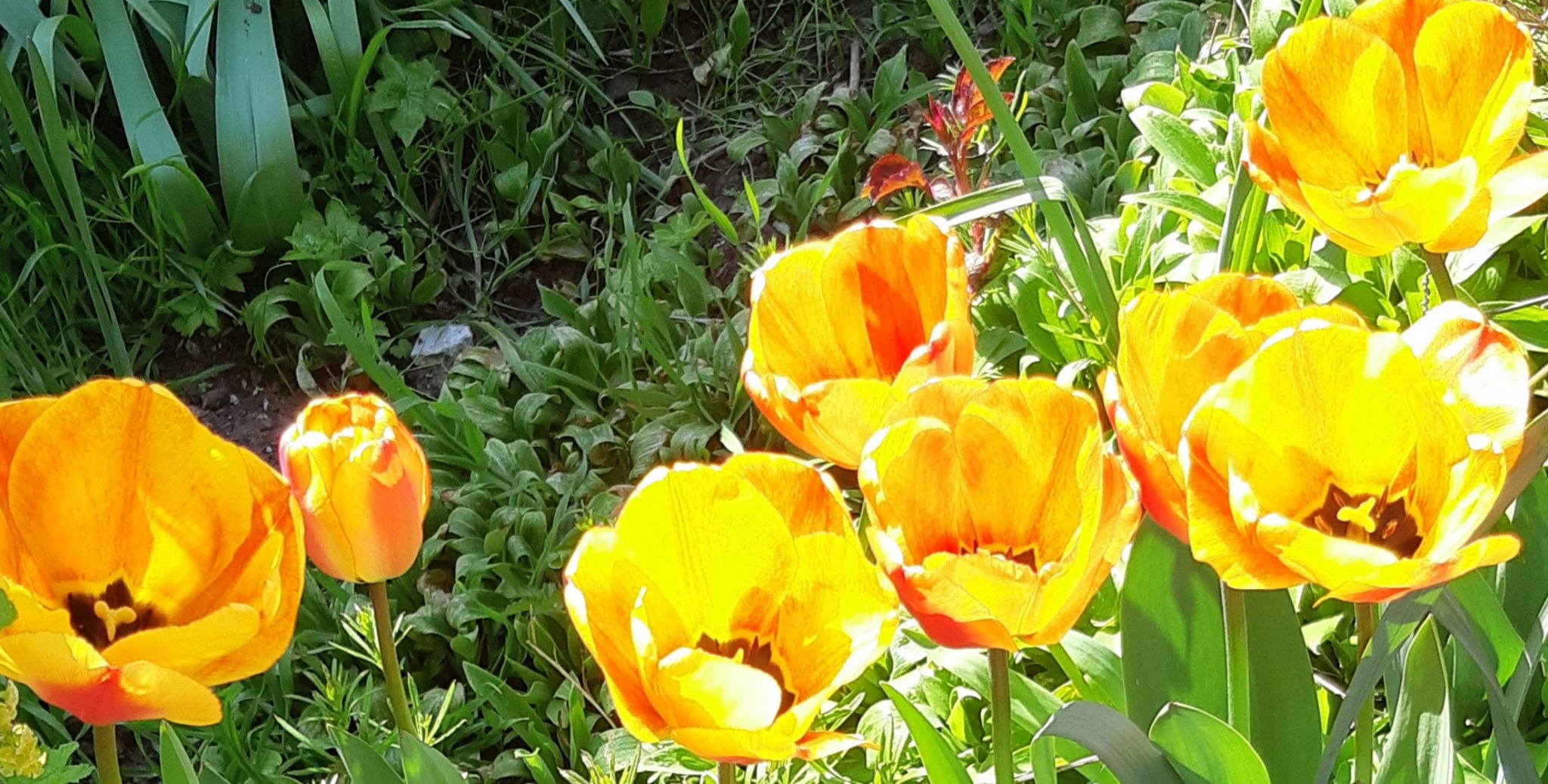 20210419_174031.jpg