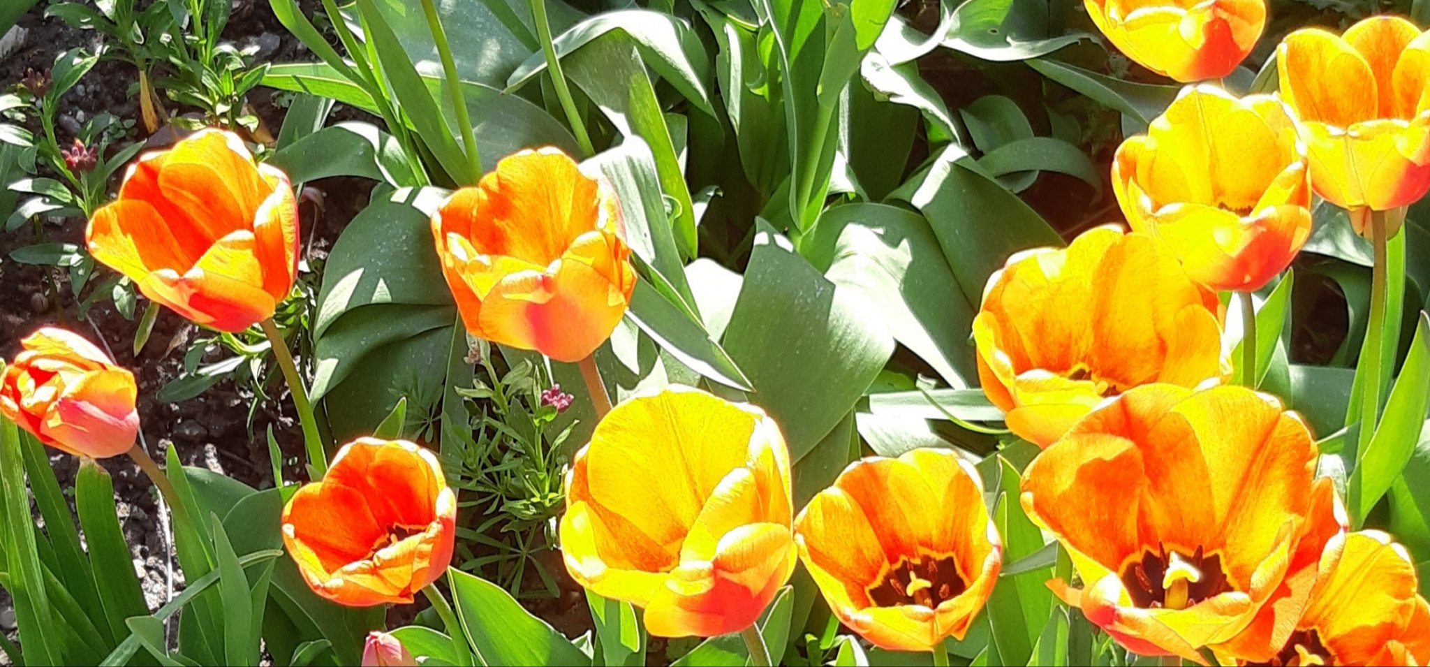 20210419_174047.jpg