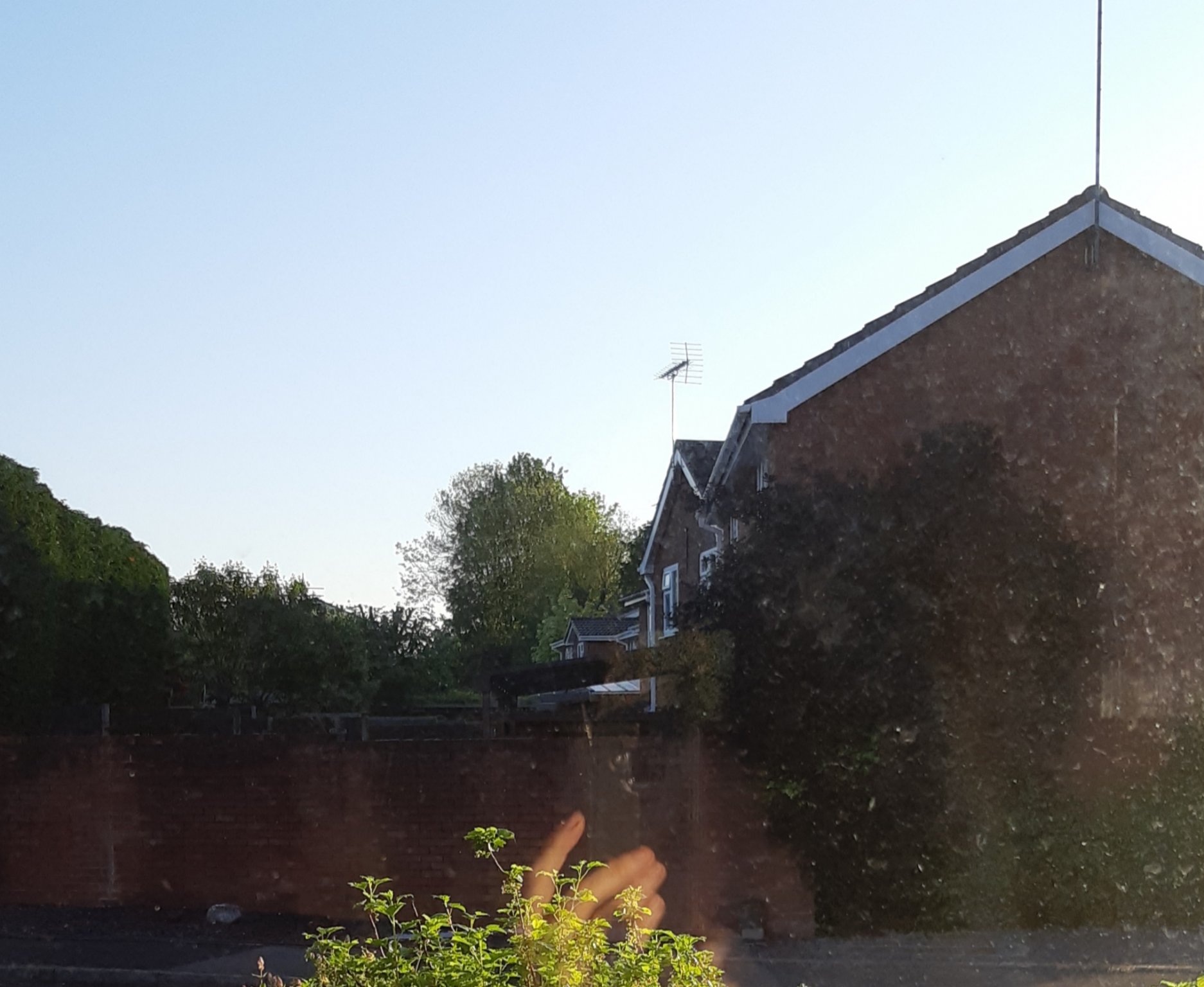 20210530_060730.jpg