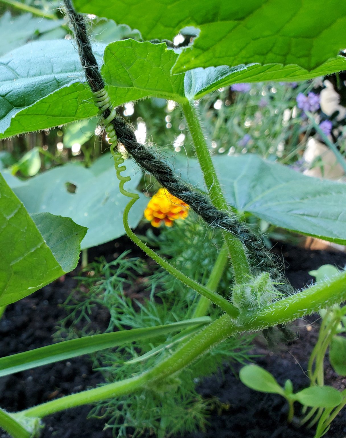20210630_143751.jpg