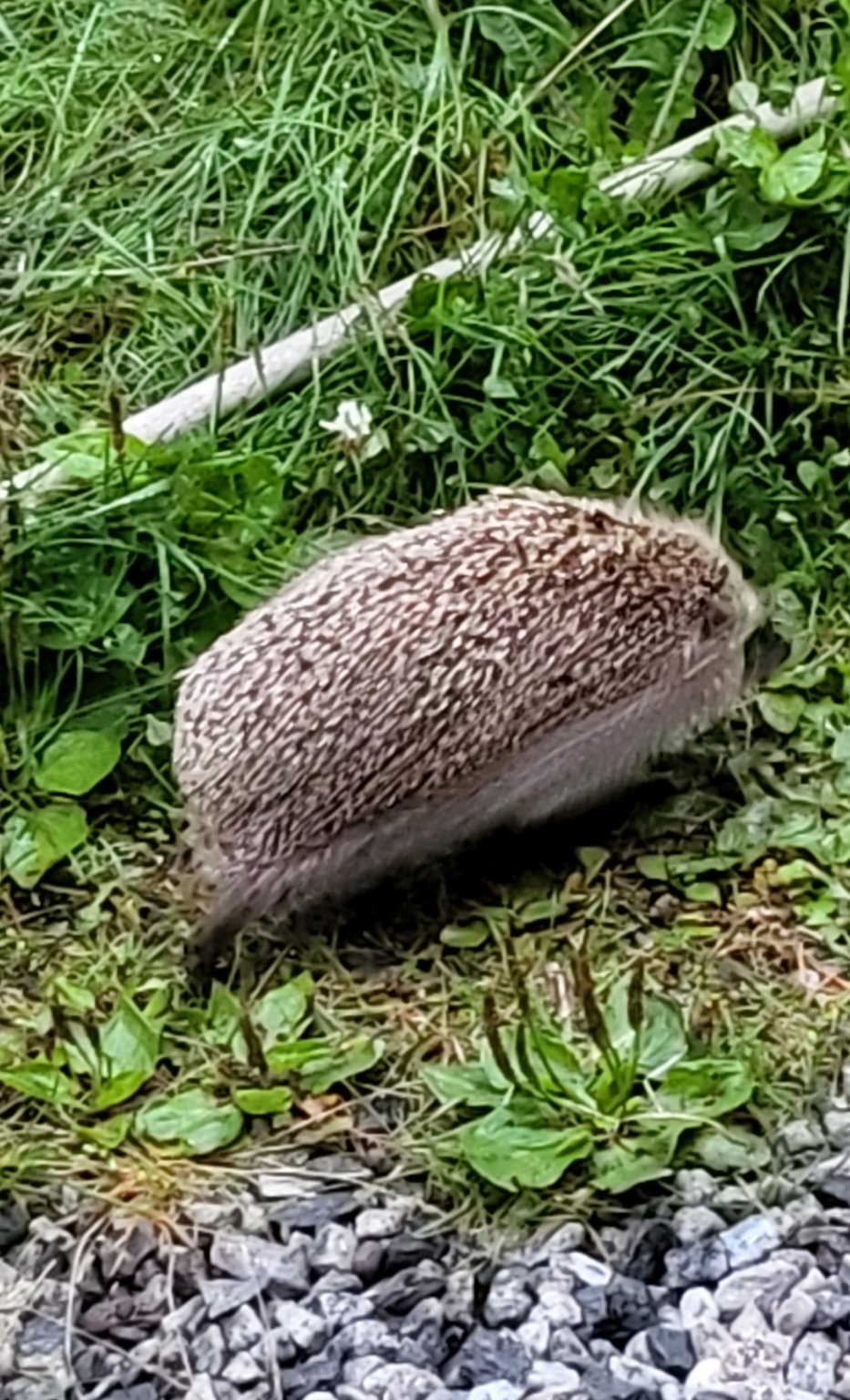 20220725_222500.jpg