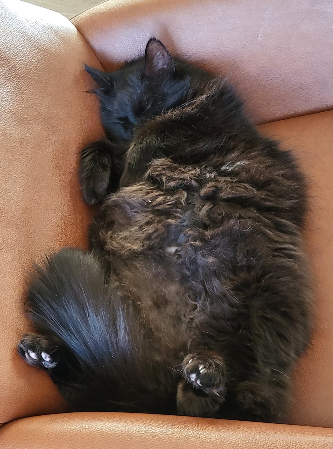 20221211_120217.jpg