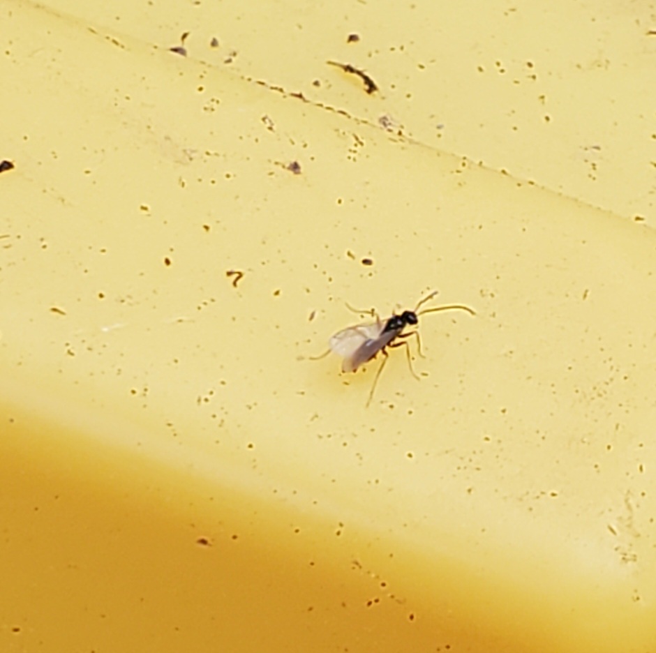 20230411_142720.jpg
