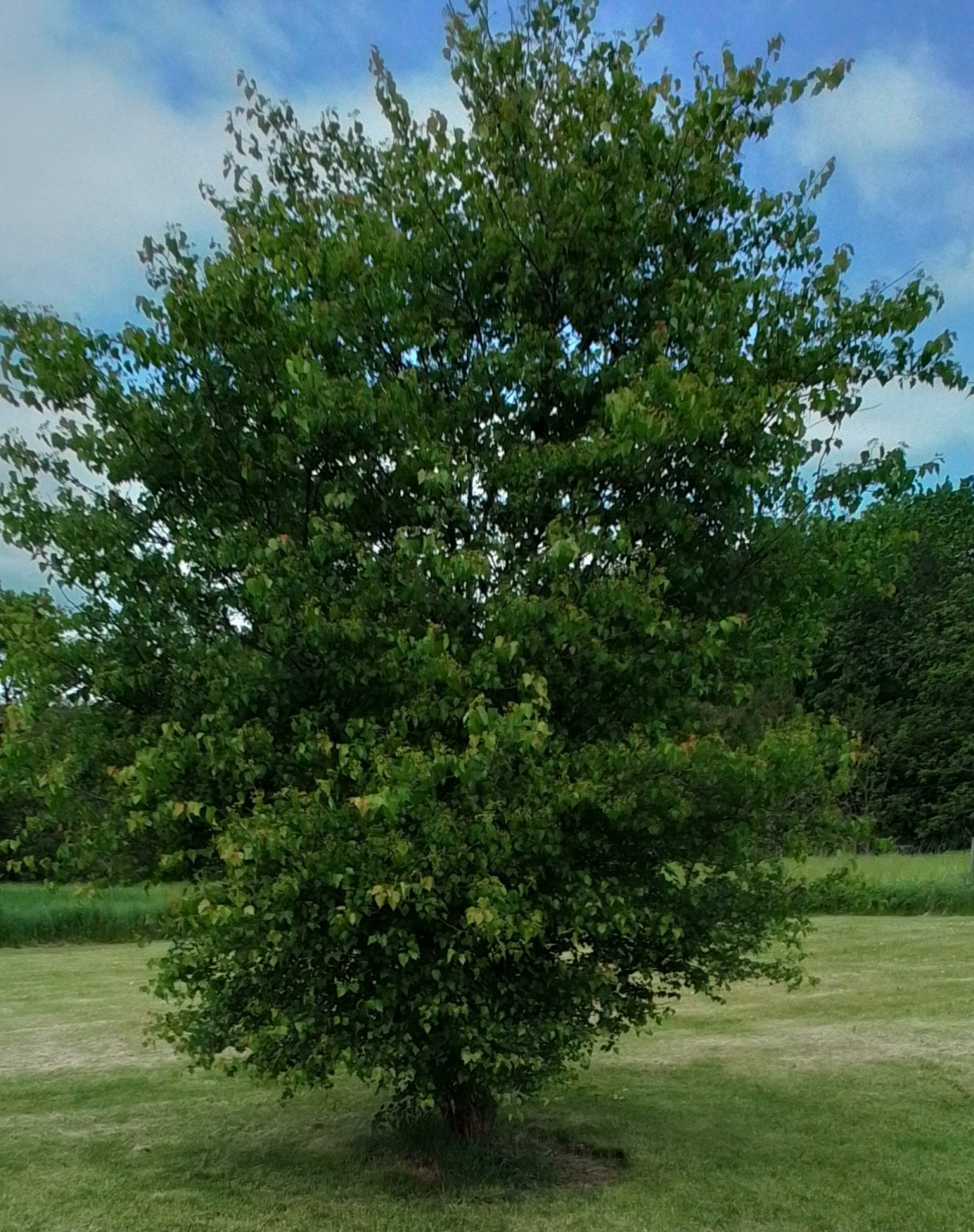 20230521_123445.jpg