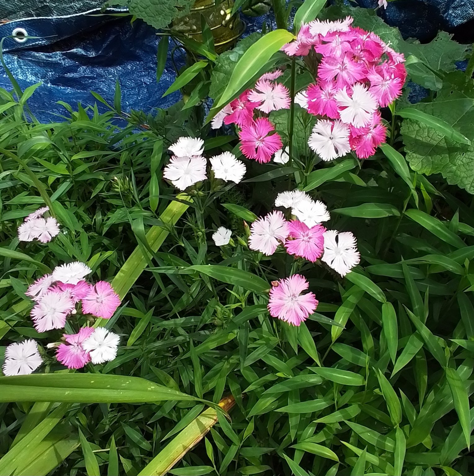 20240630_110704.jpg
