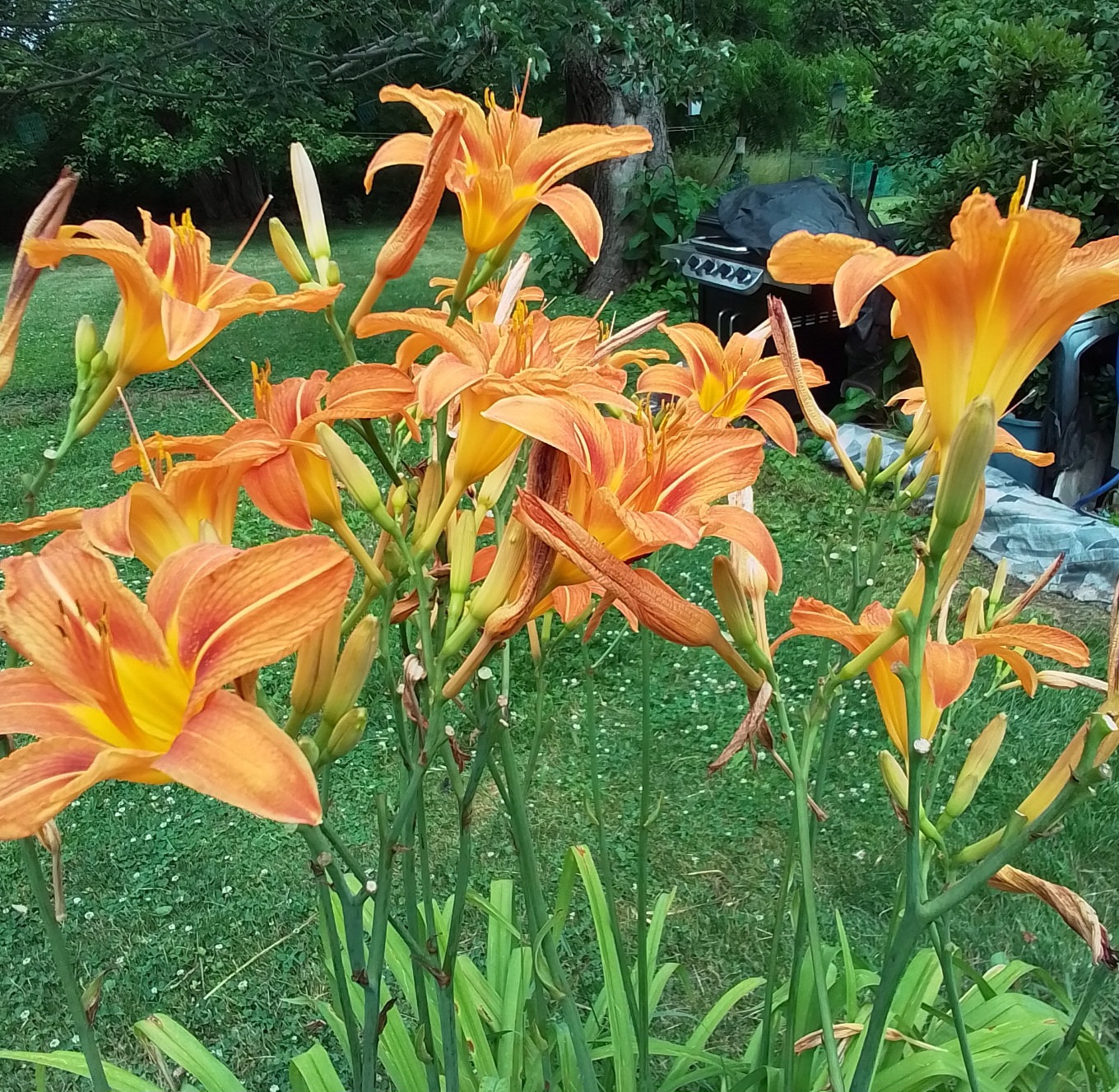 20240630_110713.jpg