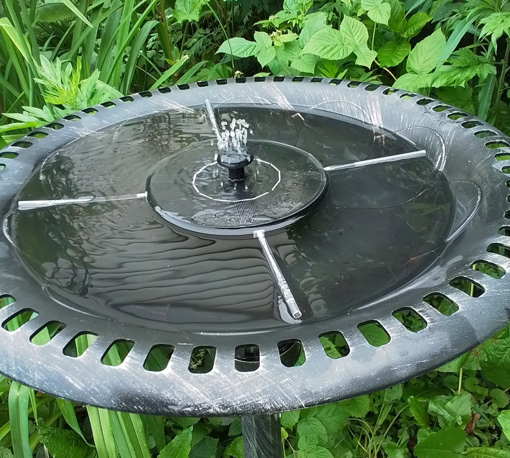 20250615_123051.jpg