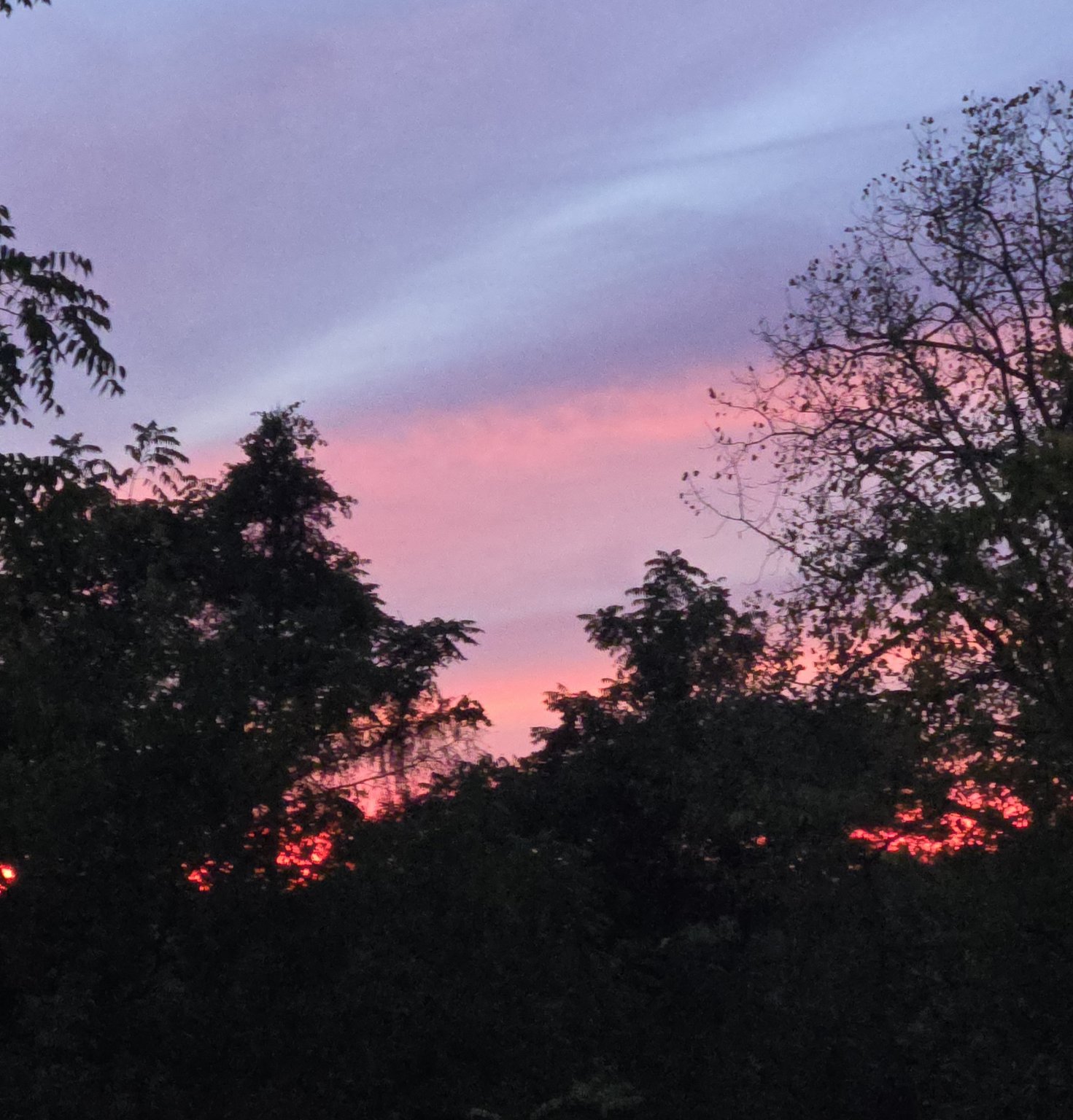 20250929_190216.jpg
