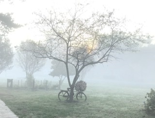 2152A466-342A-4E5D-9120-6A6F5B267D7A.jpeg