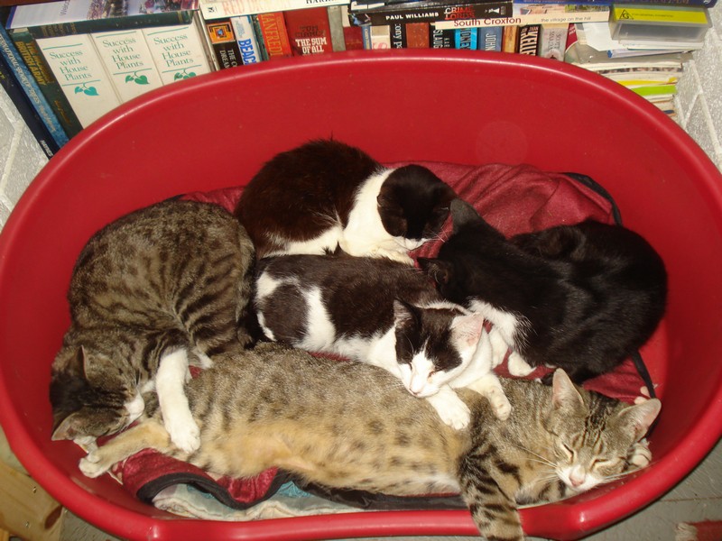 21st Sept 2014 071.jpg