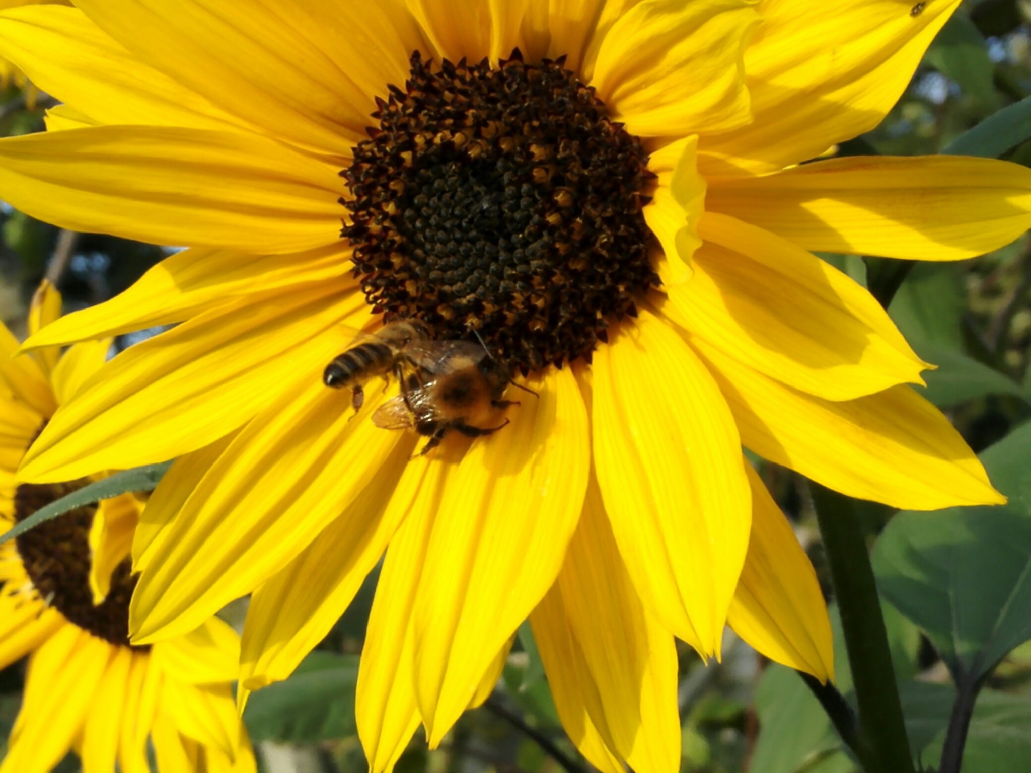 25659380-D0A6-473C-855A-C4D3D199B682.jpeg