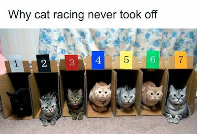 277344185_1105550227022330_42147715147594980_n-1.jpg