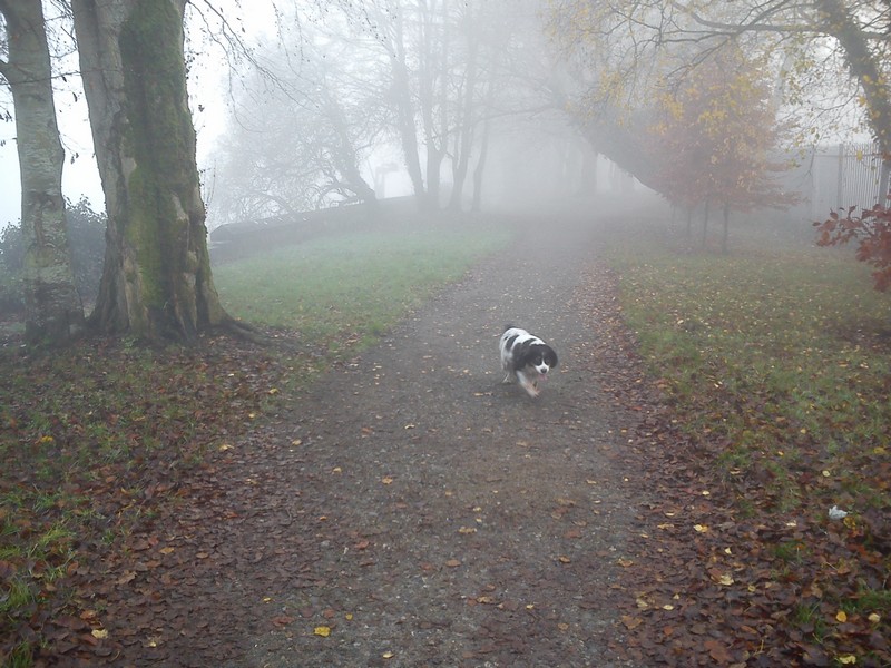 29th Nov 2014 014.jpg