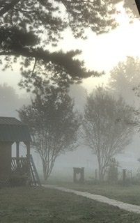 2C470586-0F10-4562-A6FF-C7F70F2E911D.jpeg