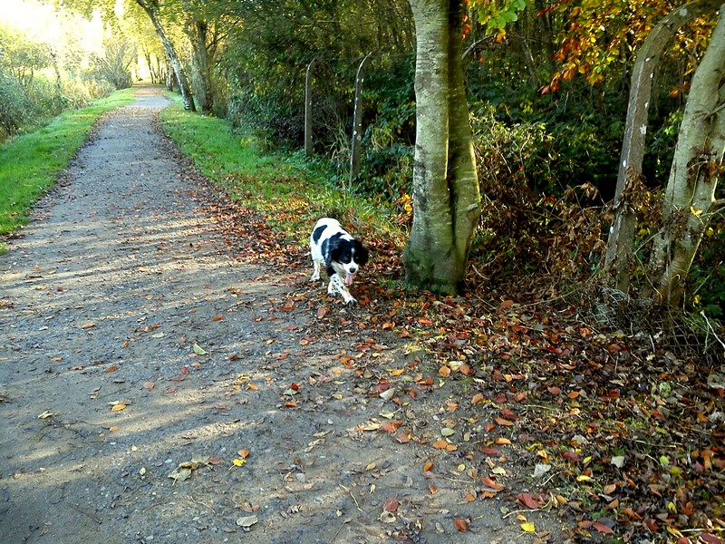 2nd November 2015 012.jpg