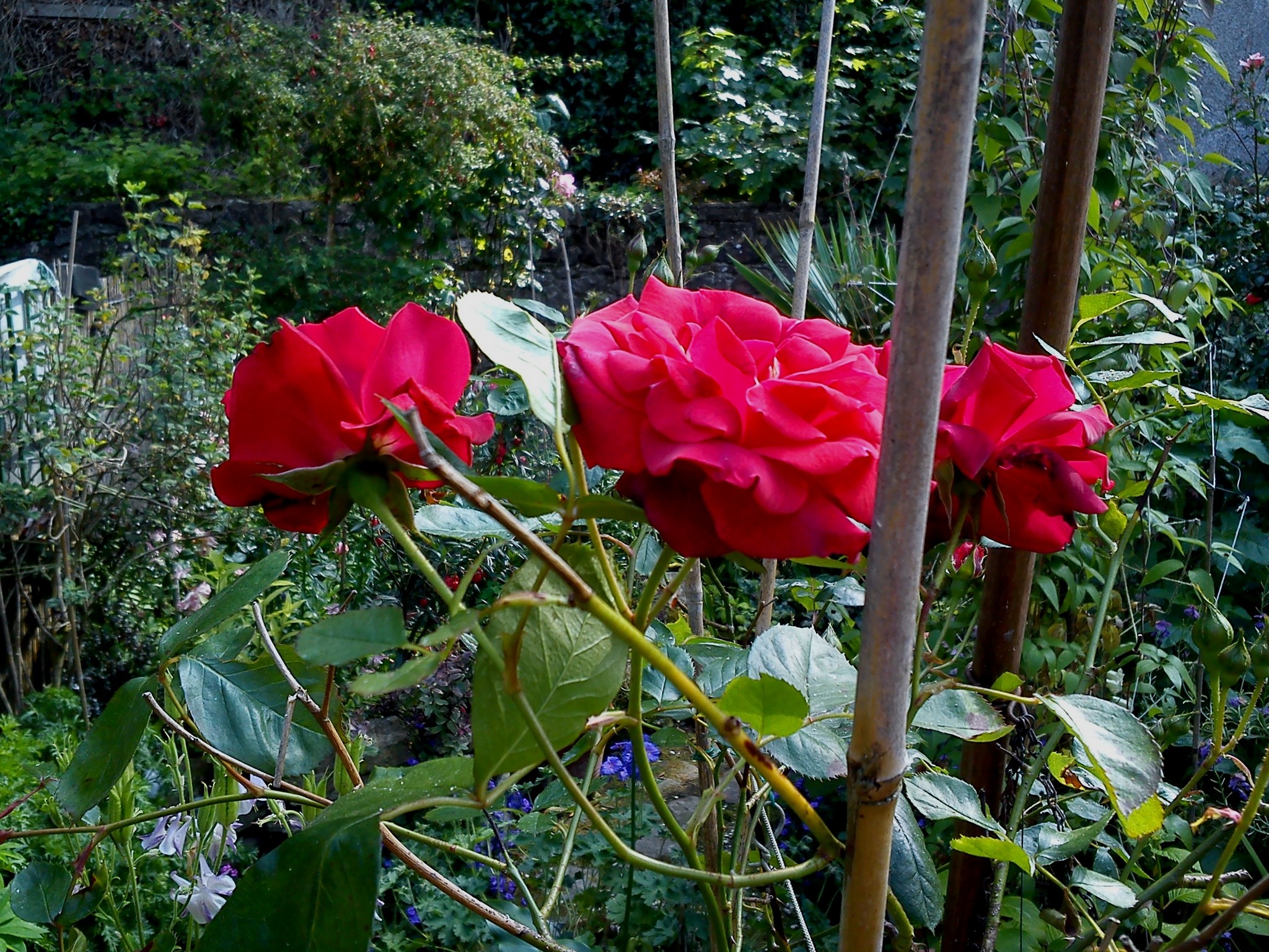 30th May 2017. 027.jpg