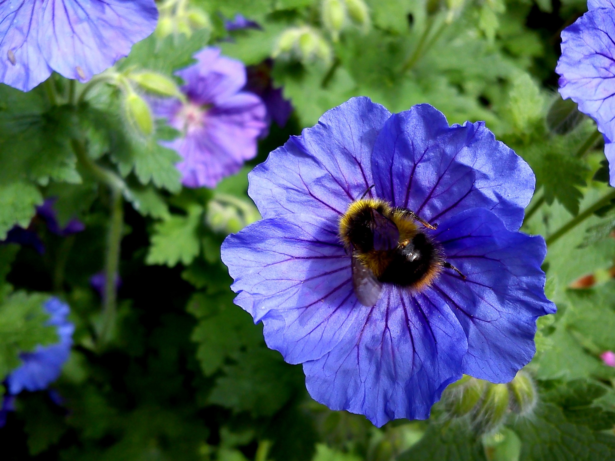 30th May 2017. 051.jpg