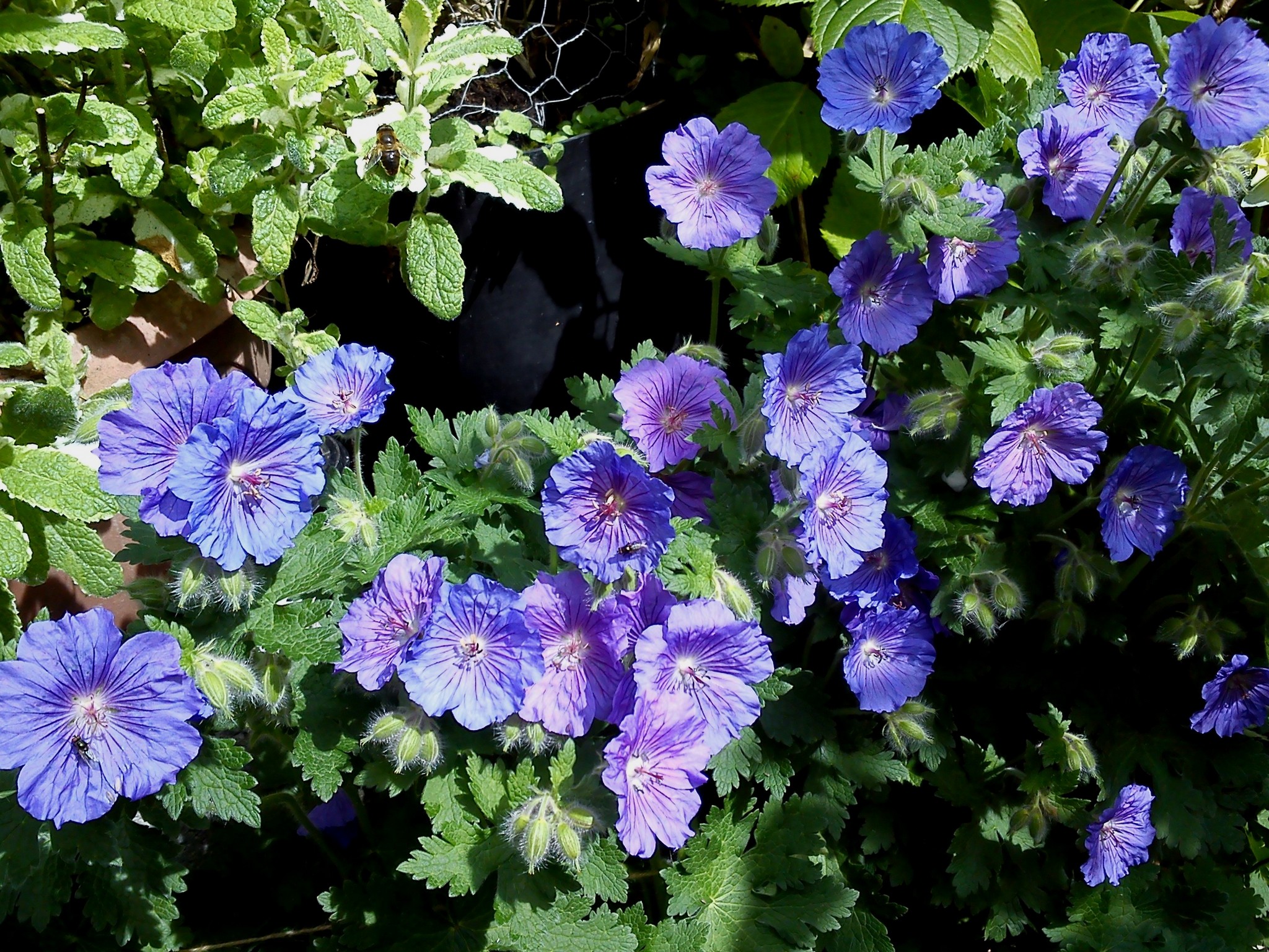 30th May 2017. 053.jpg