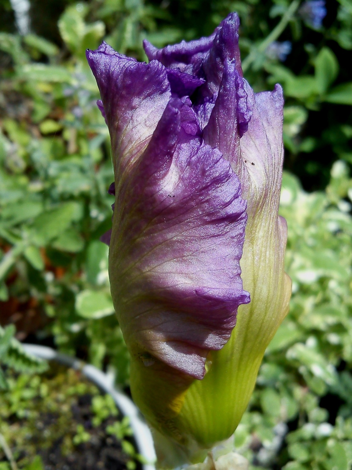 30th May 2017. 055.jpg