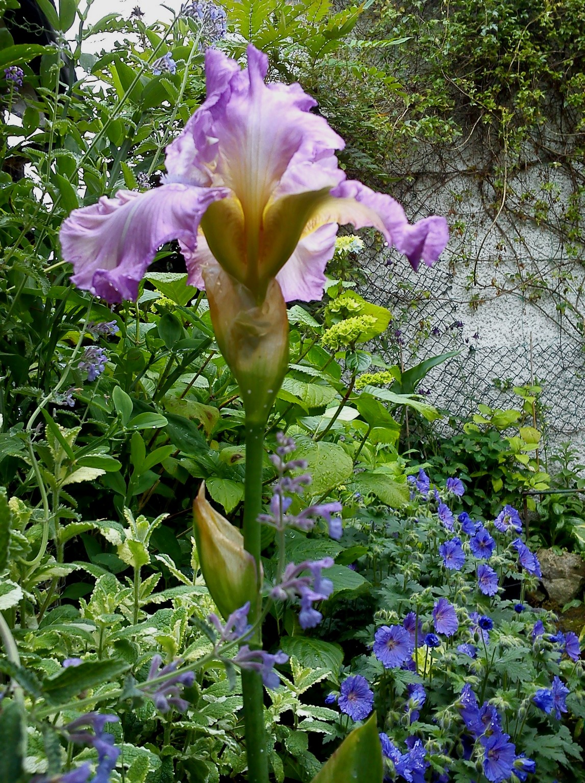 30th May 2017. 071.jpg