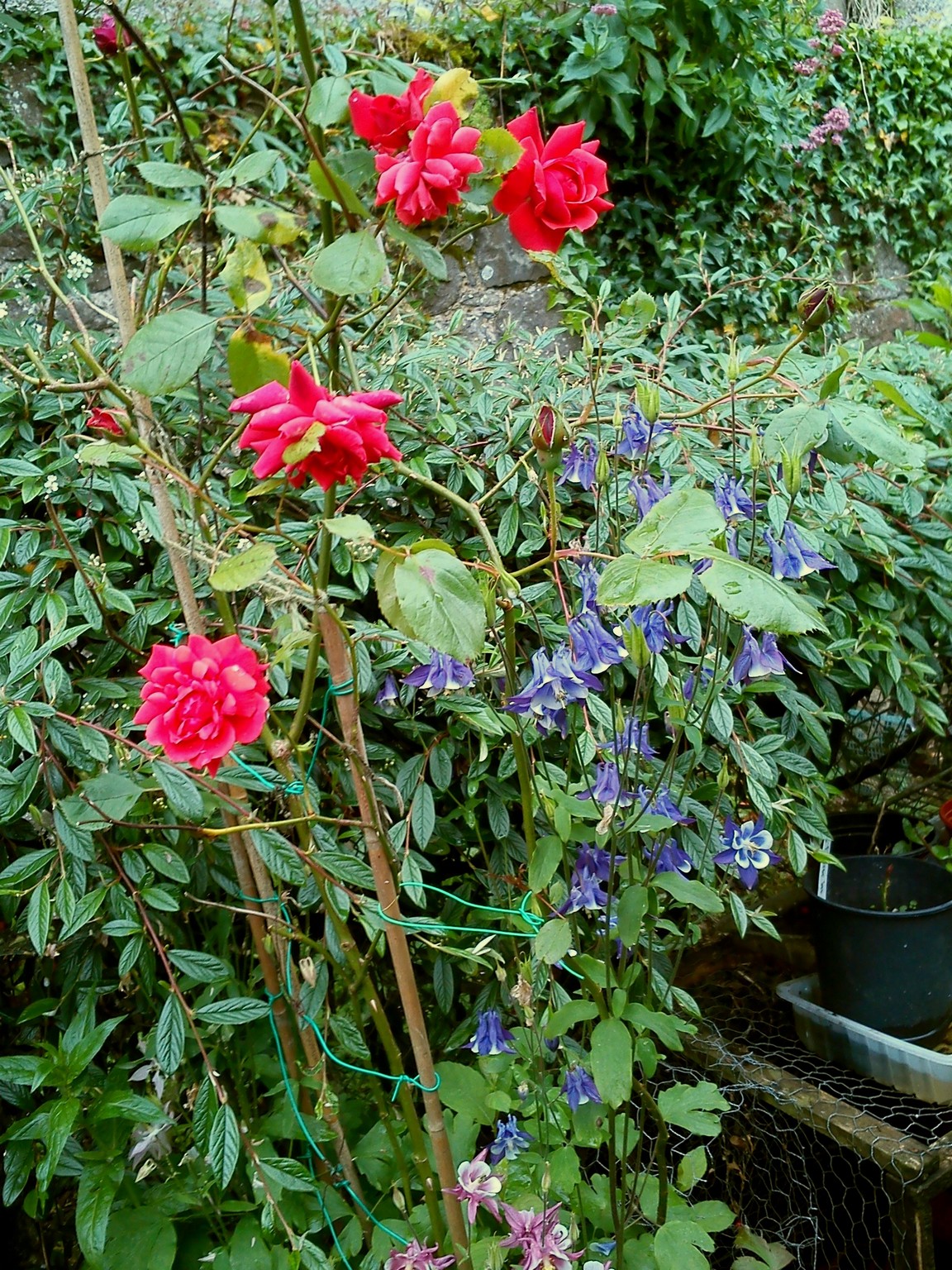 30th May 2017. 080.jpg