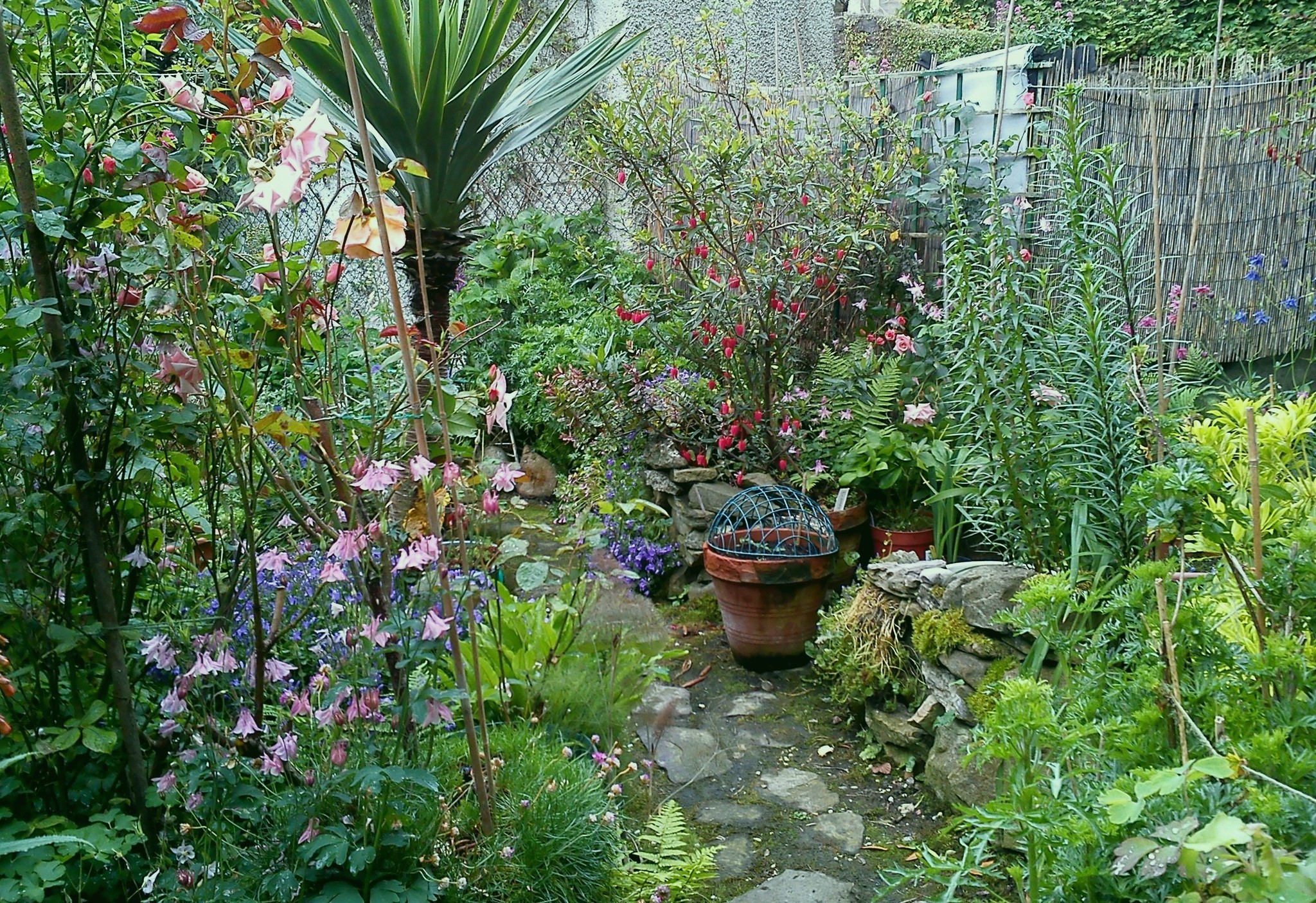 30th May 2017. 086.jpg