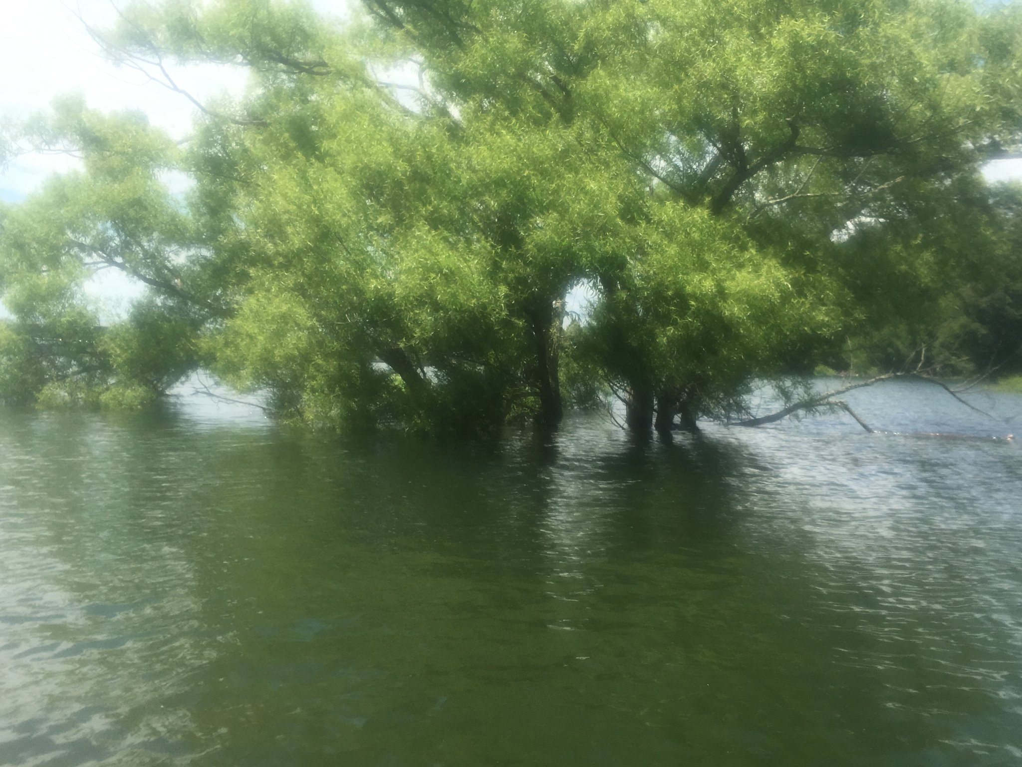3662645A-00E3-4EDF-9539-1542EB948422.jpeg