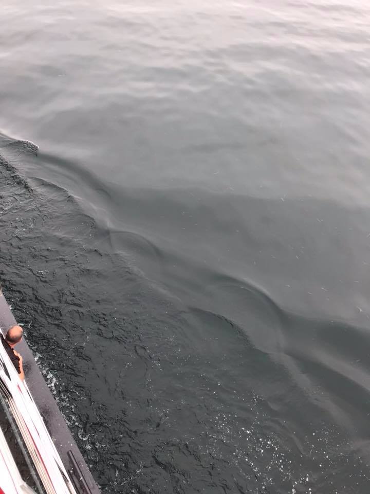 38814402_10160869195235387_8477125089832206336_n.jpg