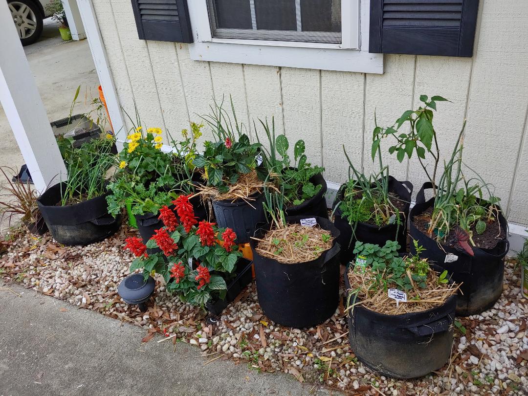 4-7-19 No More Shrubs.jpg