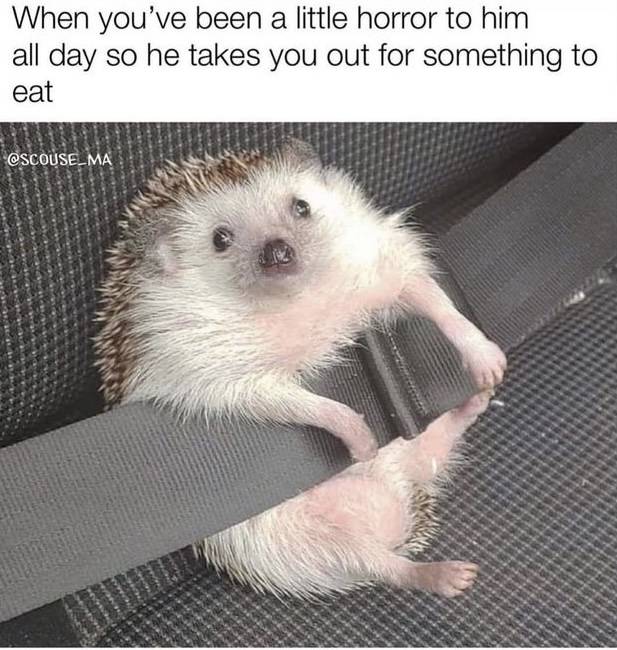 43084E17-0F04-431B-8A69-D969E3C77F7B.jpeg