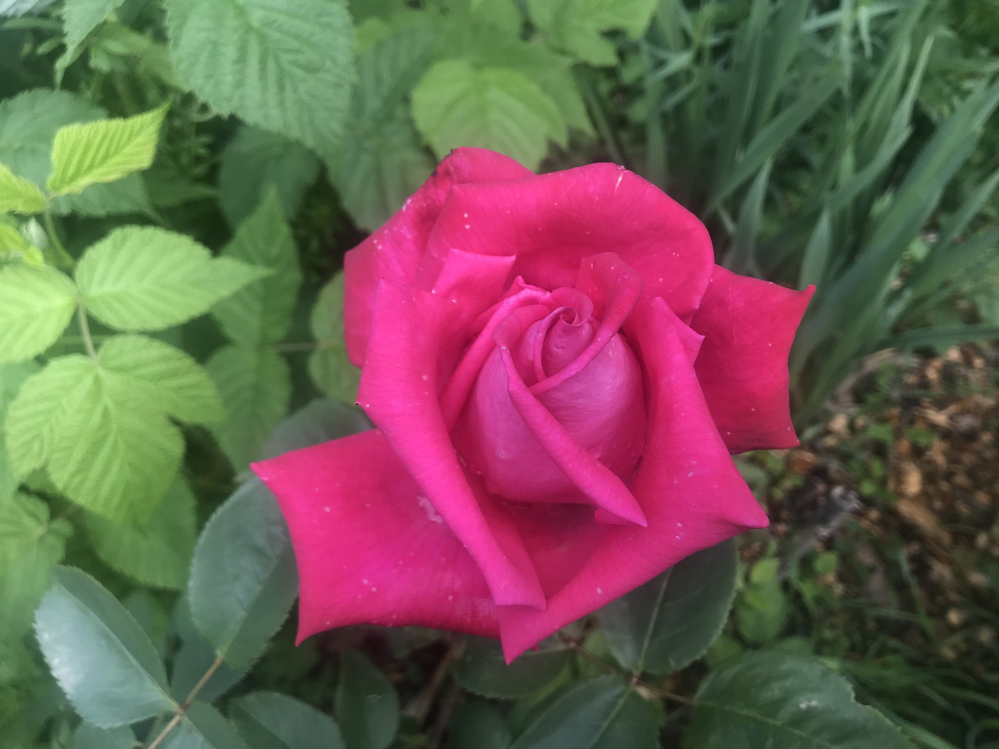 46D4AB87-B899-4898-B7D4-2EF85567B9A6.jpeg