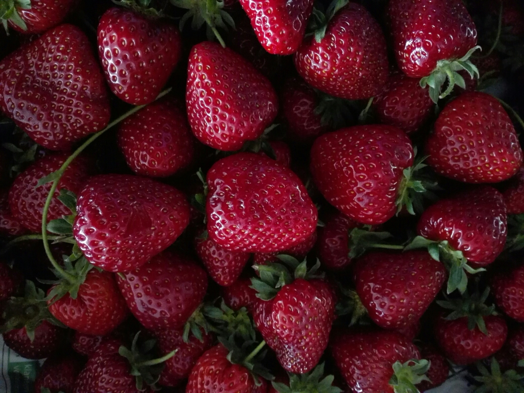 49B5F4DC-0766-4D93-A151-2CDDEC92F0E2.jpeg